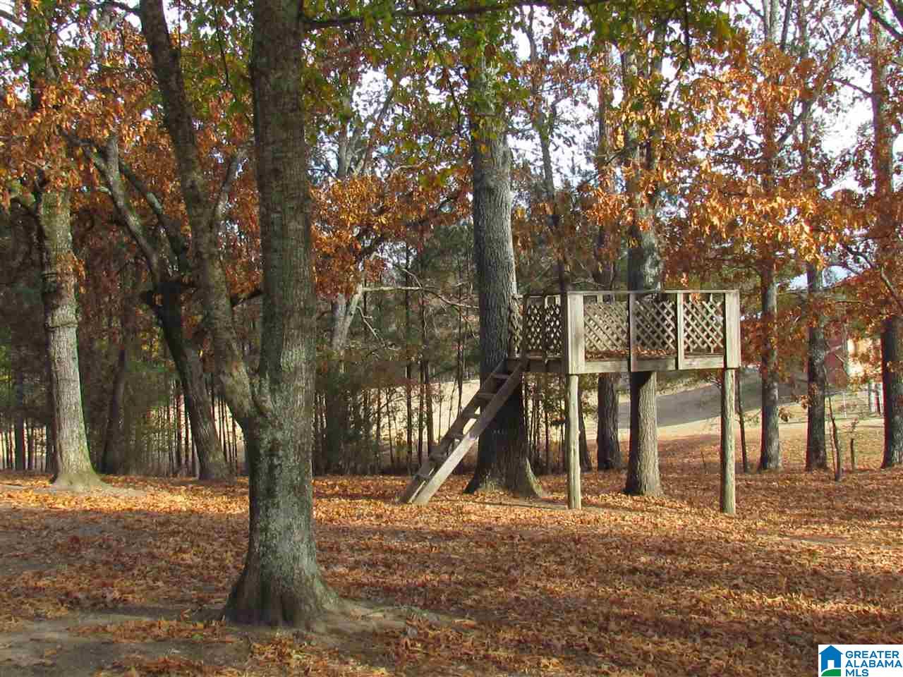 980 A P Hollingsworth Road Wellington, AL 36279 - Photo 6 of 16