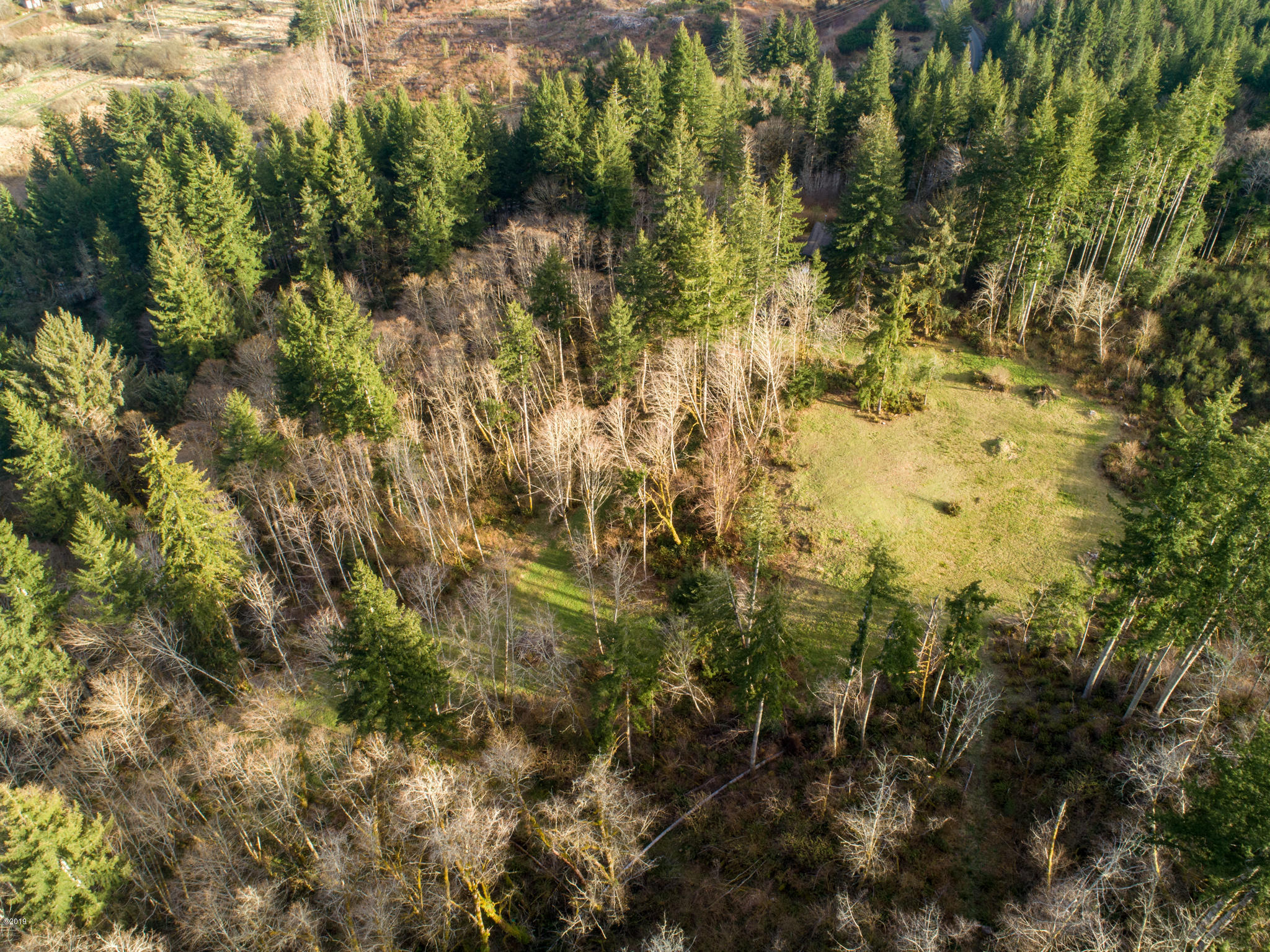 1 Olalla Road Toledo, OR 97391 - Photo 1 of 14 Olalla Road Toledo (11)