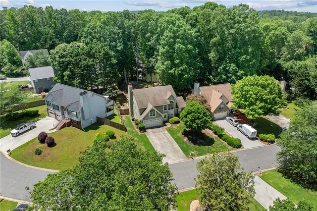 a view of a large trees with lush green forest