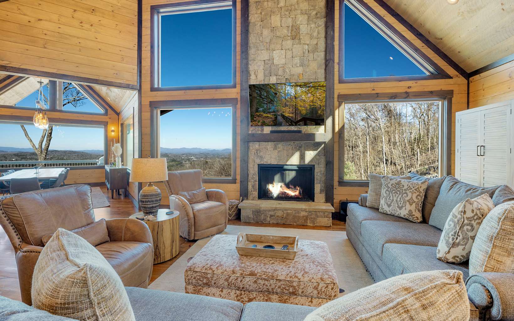 810 Overlook Drive Blue Ridge, GA 30513 - Photo 14 of 56 a living room with furniture and a fireplace