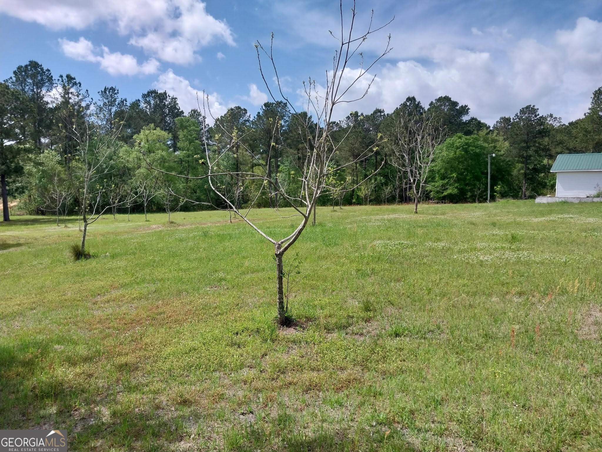 152 Seaweed Road Fitzgerald, GA 31750 - Photo 2 of 4 a garden view
