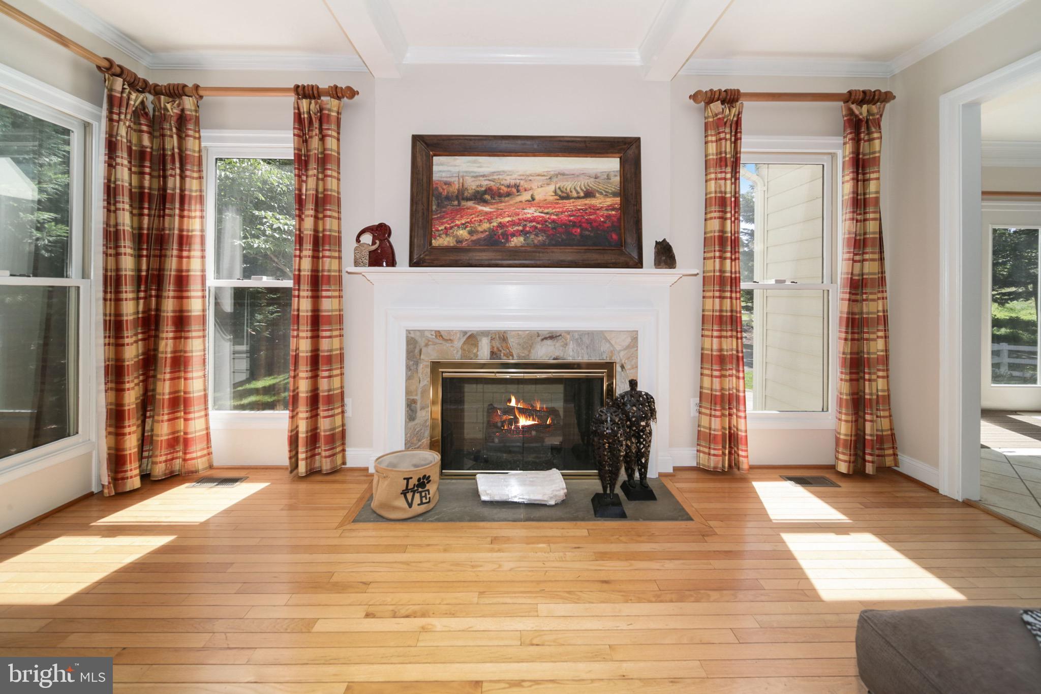 11501 Ridge Mist Terrace Potomac, MD 20854 - Photo 12 of 56 Family Room/View of Fireplace