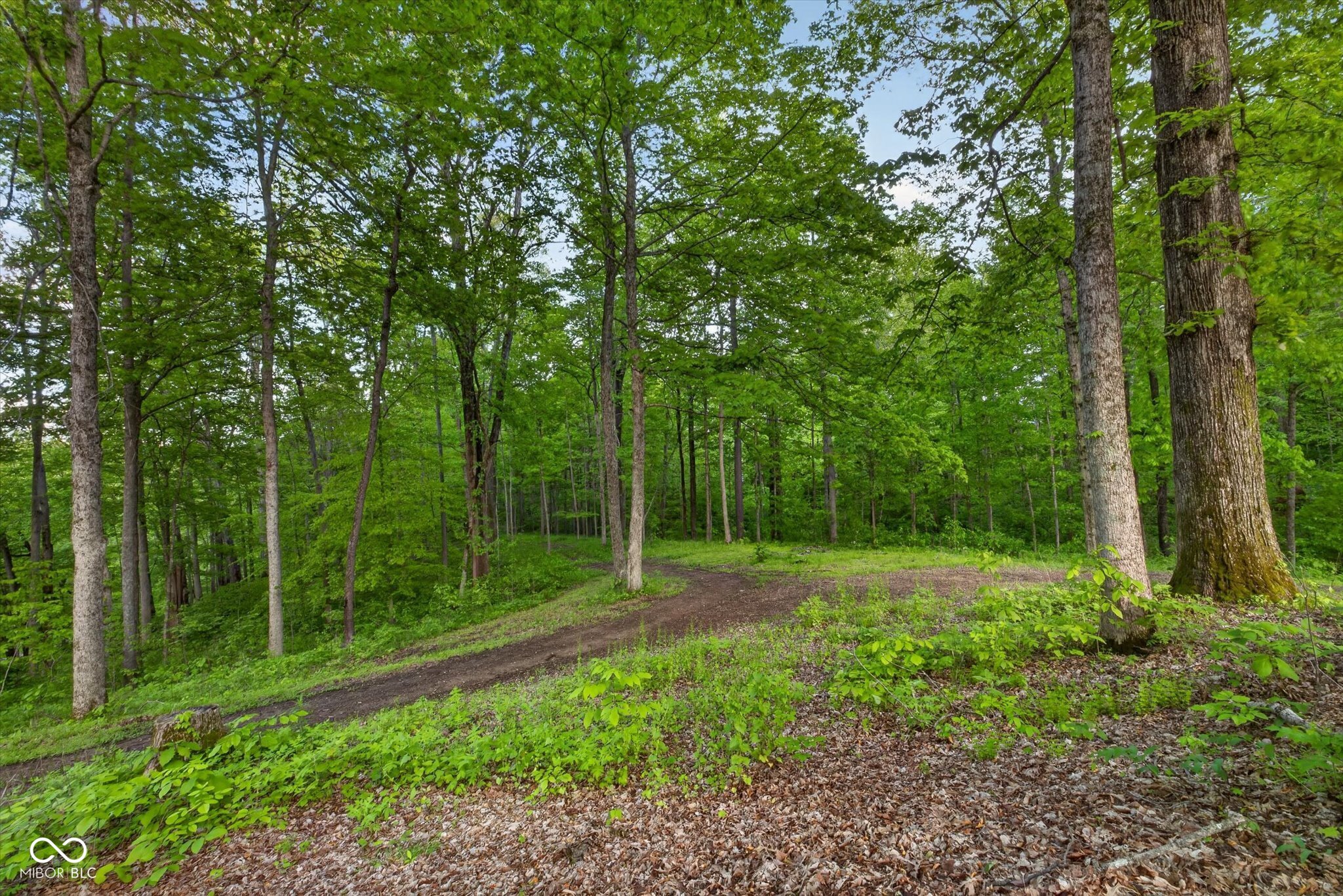 982 Coon Path Road Spencer, IN 47460 - Photo 27 of 32 Gallery Image 27