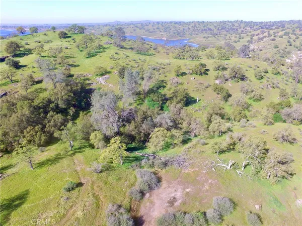 a view of a forest with a forest