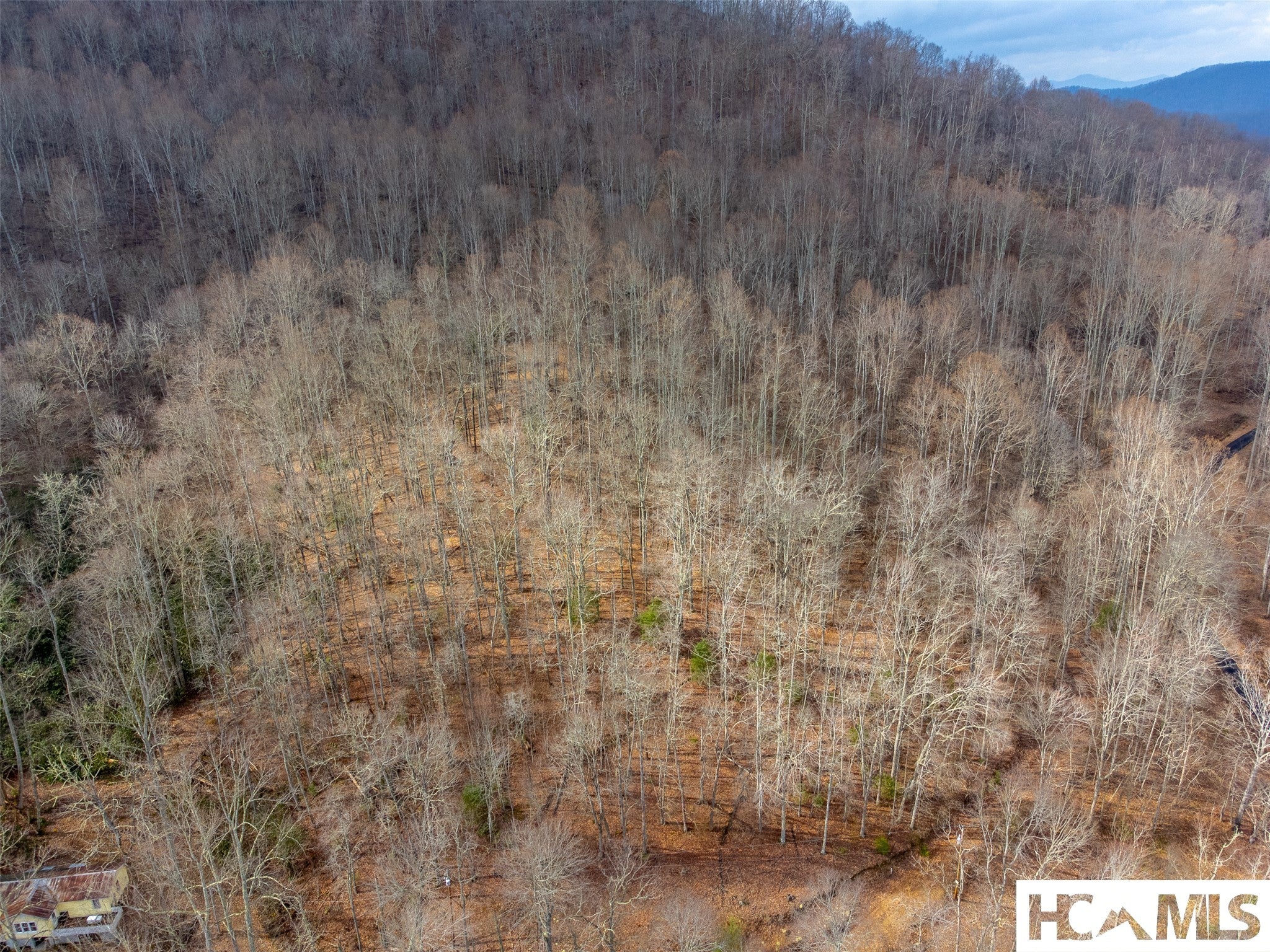 1241 Henry Road Franklin, NC 28734 - Photo 25 of 67 Gallery Image 25