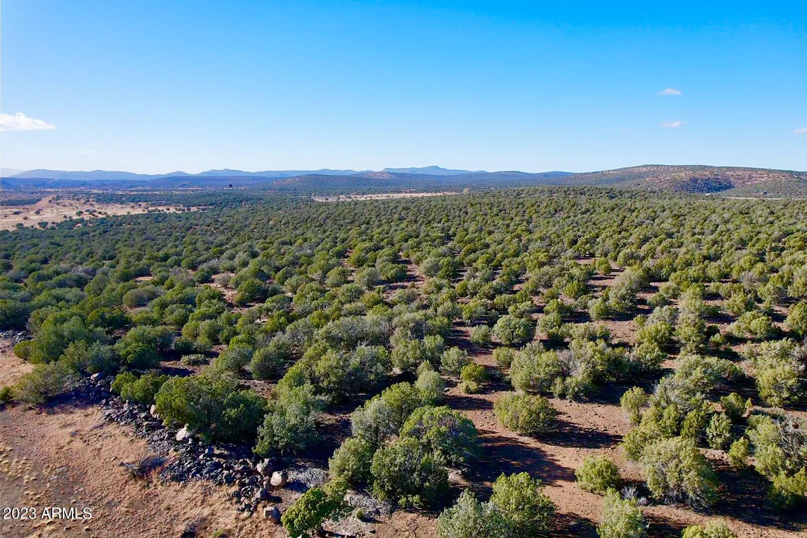 Tbd Fort Rock Road Kingman, AZ 86401 - Photo 1 of 13 2023-11-19-15-06-53-369