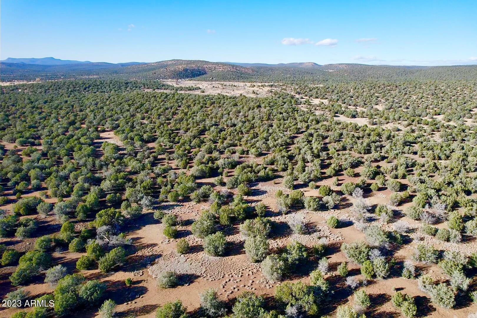 Tbd Fort Rock Road Kingman, AZ 86401 - Photo 12 of 13 2023-11-19-15-08-57-487