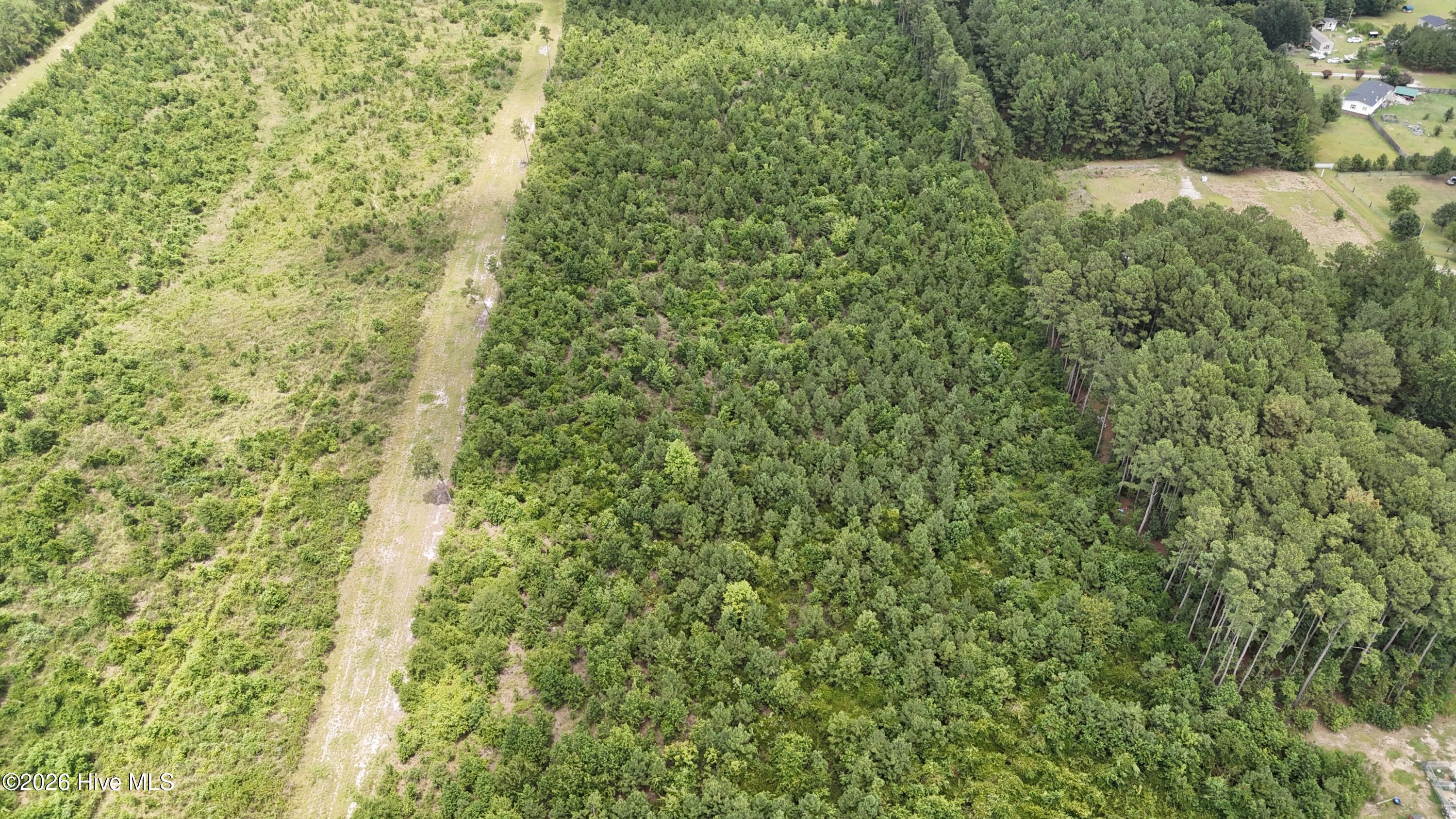 0 Eric Sparrow Road Deep Run, NC 28525 - Photo 3 of 3