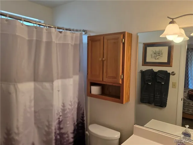 a bathroom with a shower and a toilet