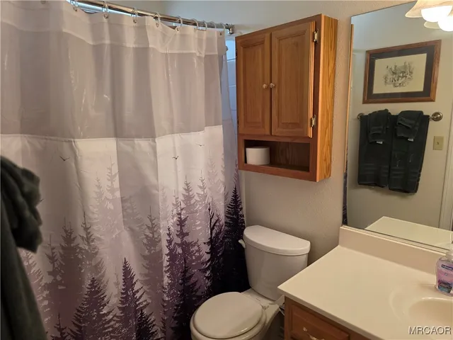 a bathroom with a toilet and a shower curtain