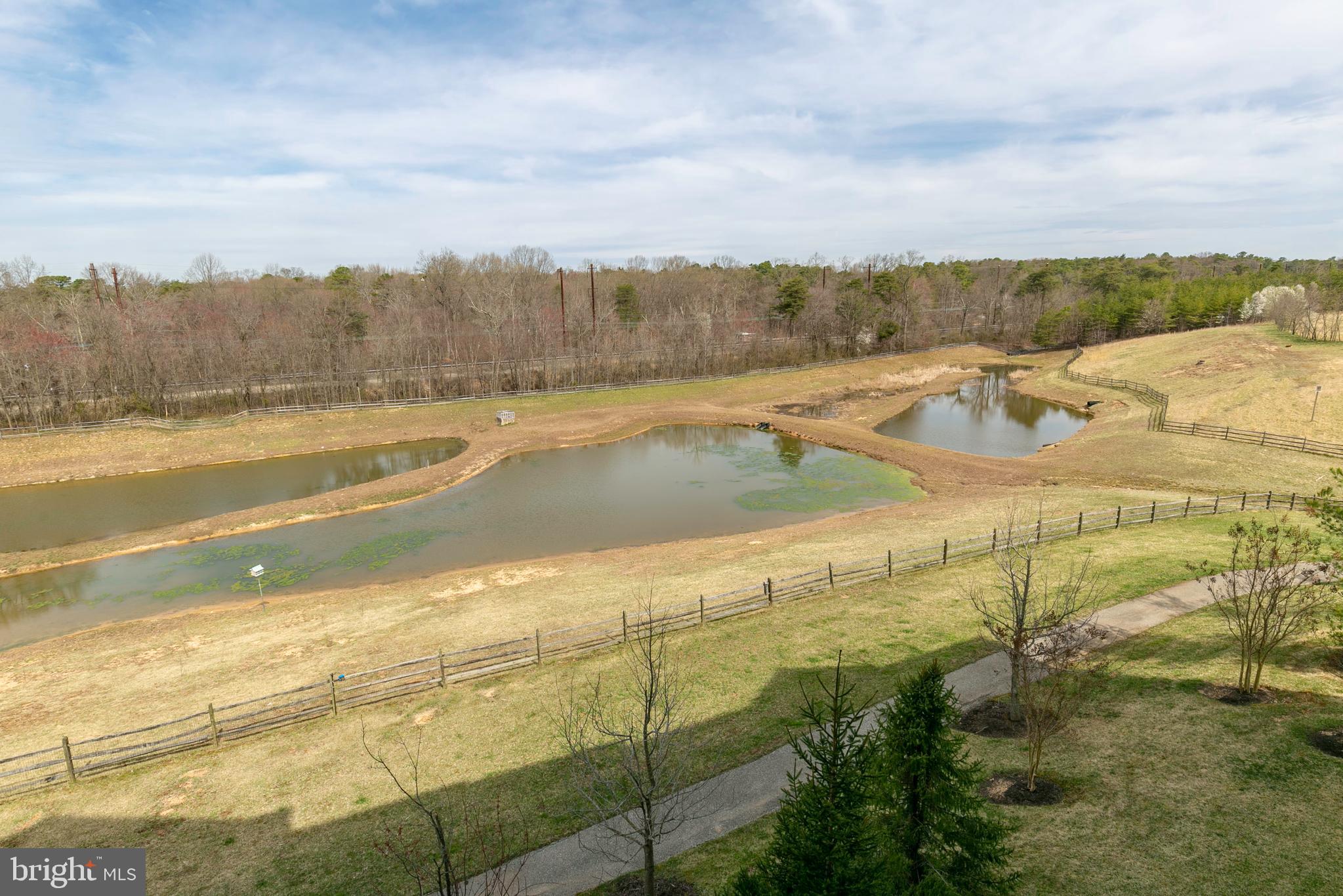 8600 Roaming Ridge Way, Unit 304 Odenton, MD 21113 - Photo 21 of 46 View from Balcony