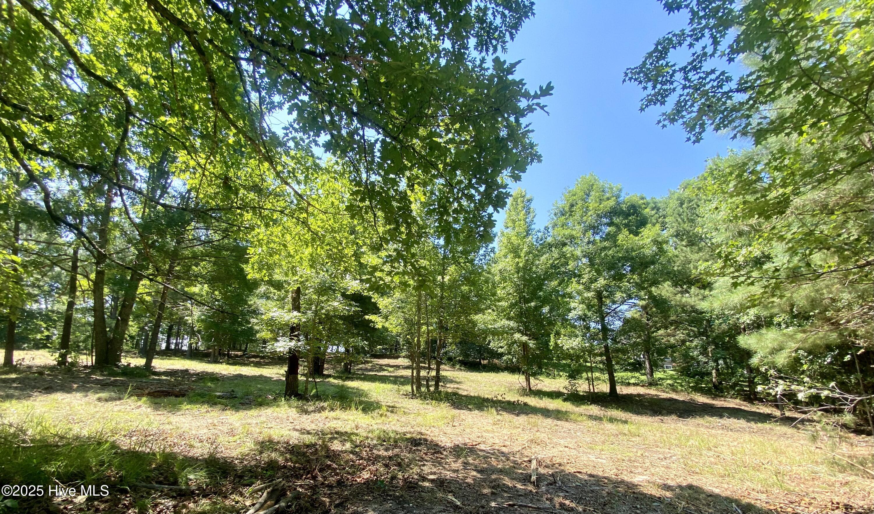 291 Gails Road West End, NC 27376 - Photo 9 of 10 view from lower lot