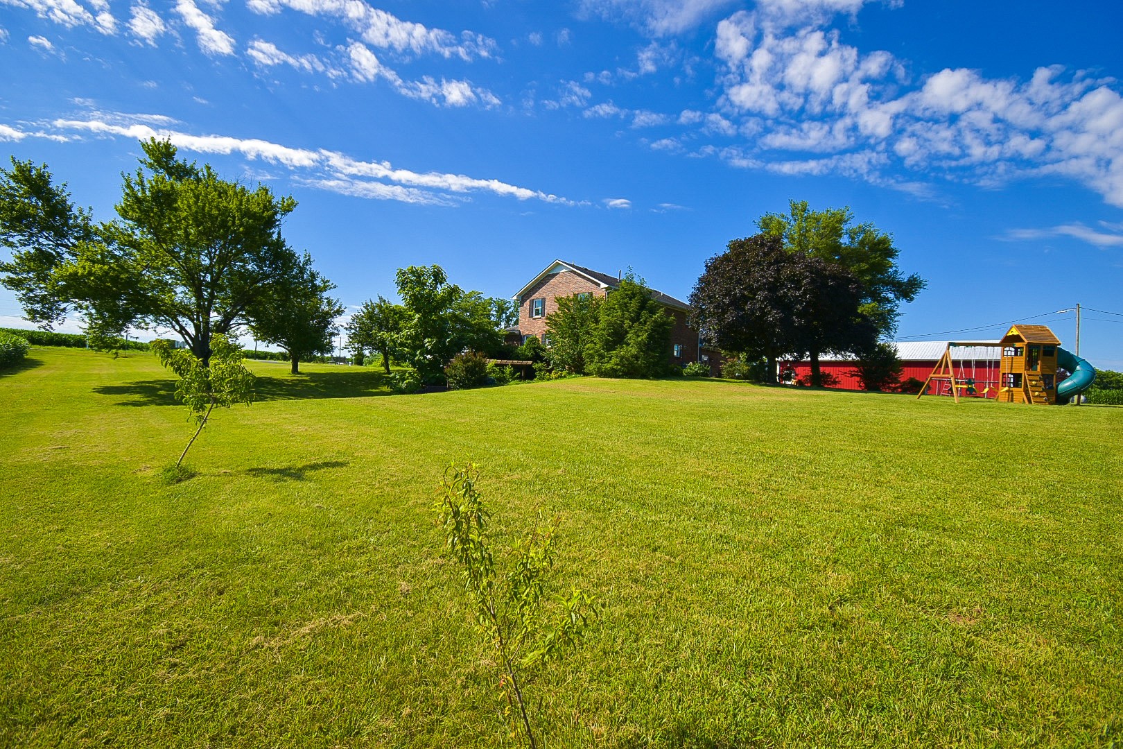 10814 Clarksville Road Olmstead, KY 42265 - Photo 48 of 55