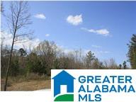 4138 Warrior Jasper Road, Unit METES AND BOUNDS Dora, AL 35062 - Photo 1 of 4