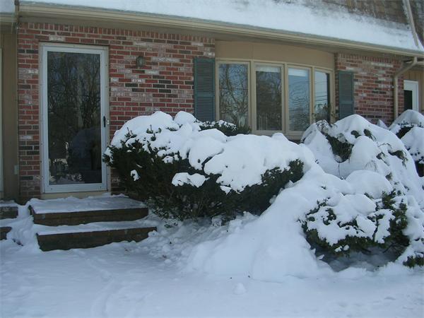 5 Forest Road, Unit 5 Millis, MA 02054 - Photo 1 of 28 Gallery Image 1