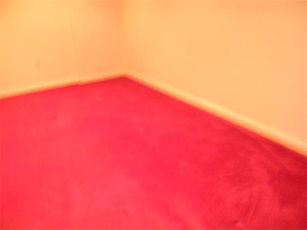 5 Forest Road, Unit 5 Millis, MA 02054 - Photo 26 of 28 Gallery Image 26
