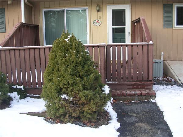 5 Forest Road, Unit 5 Millis, MA 02054 - Photo 27 of 28 Gallery Image 27