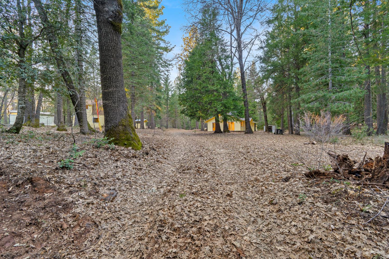 5498 Platt Mountain Road Forest Ranch, CA 95942 - Photo 47 of 59 Driveway looking Back to House