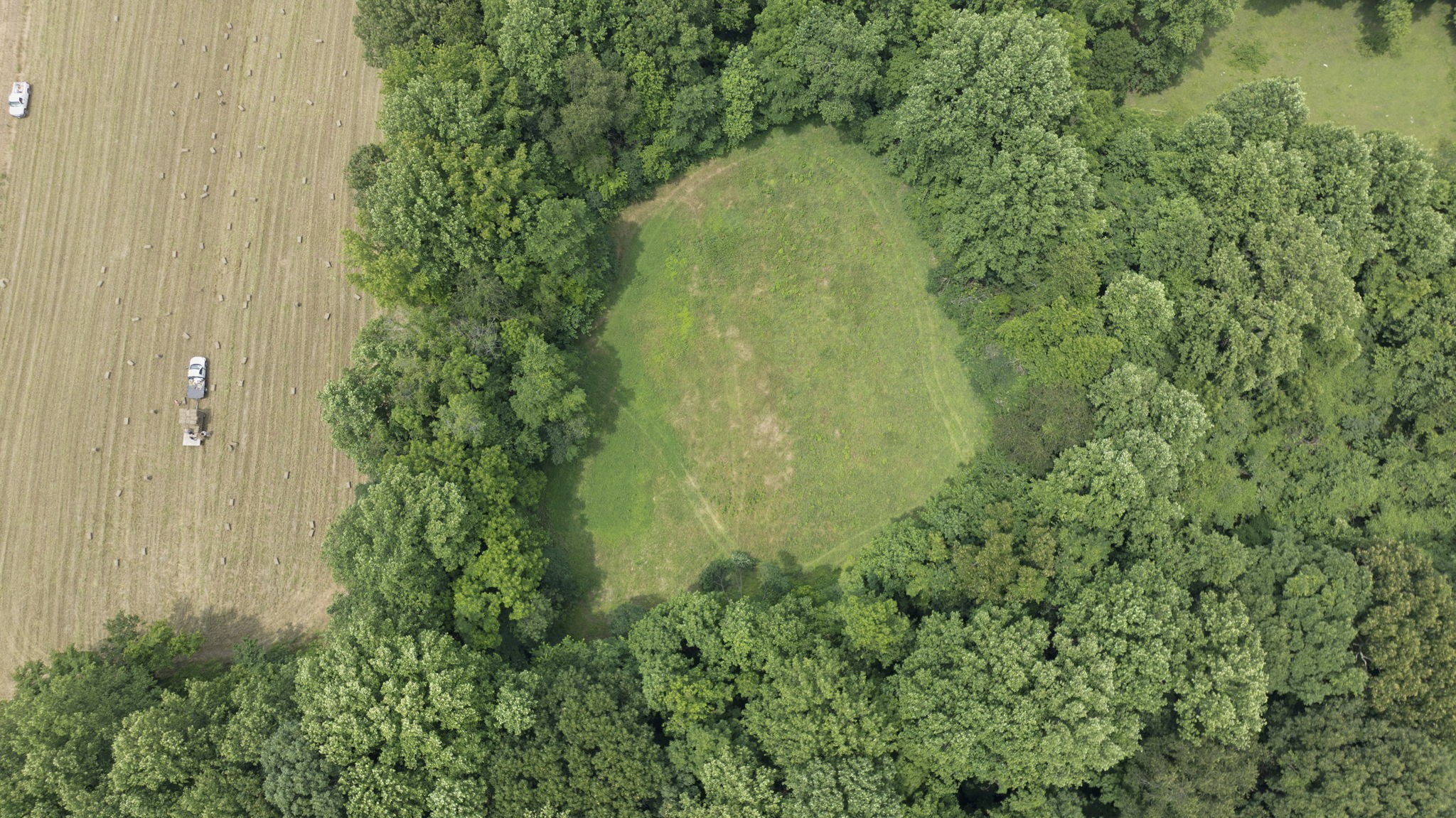 7855 Bethlehem Road Springfield, TN 37172 - Photo 11 of 25 a view of a garden