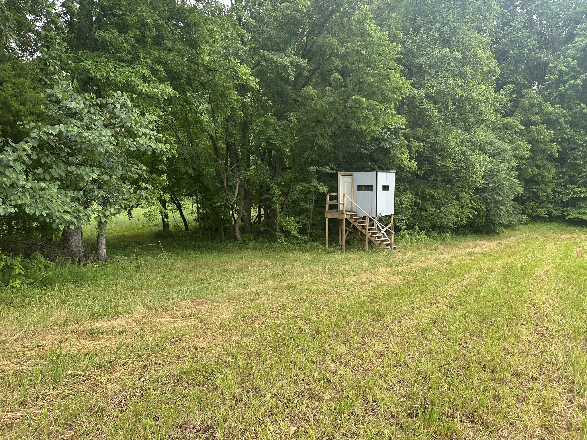 7855 Bethlehem Road Springfield, TN 37172 - Photo 20 of 25 a view of a back yard
