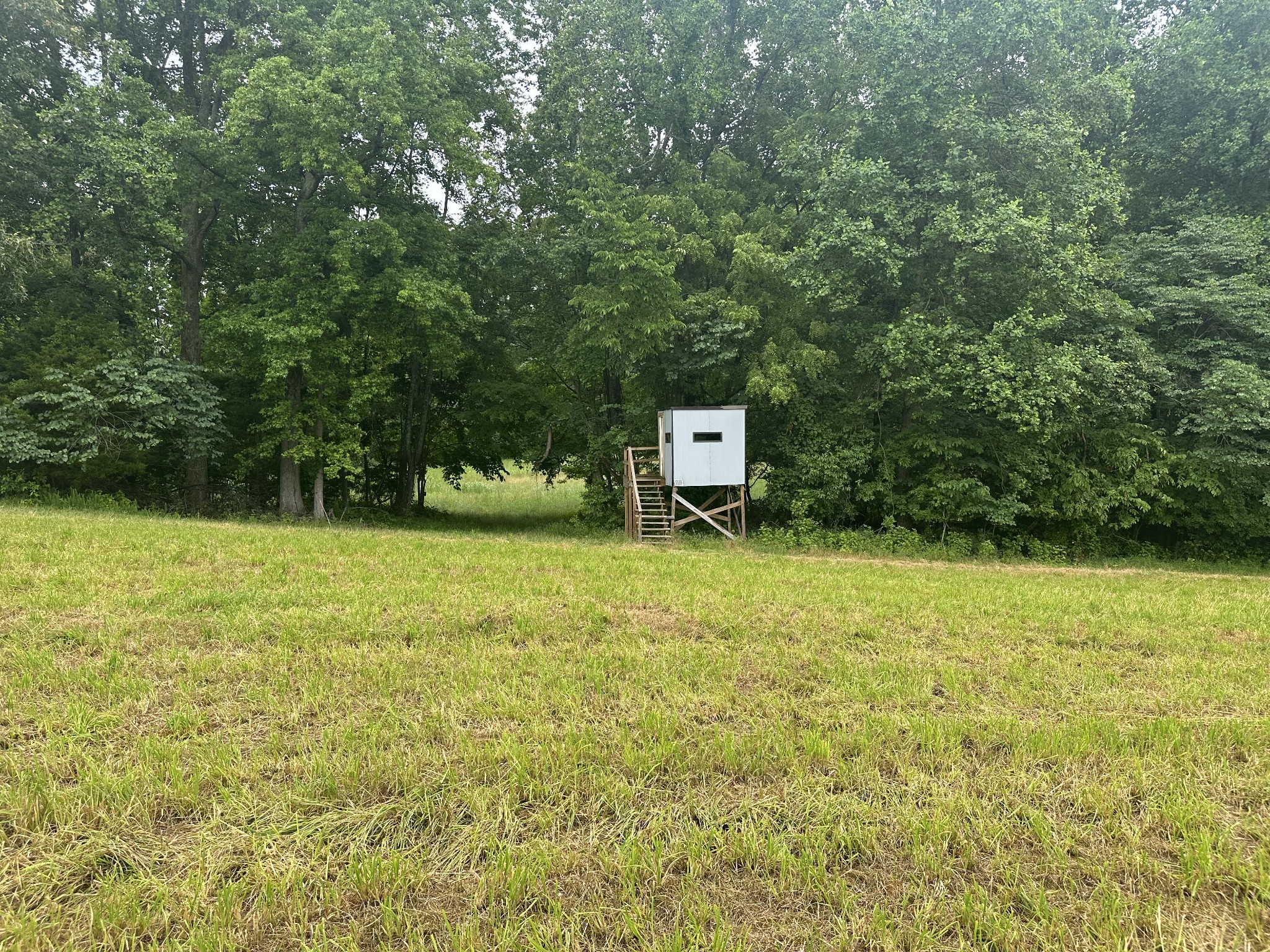 7855 Bethlehem Road Springfield, TN 37172 - Photo 21 of 25 a view of a outdoor space