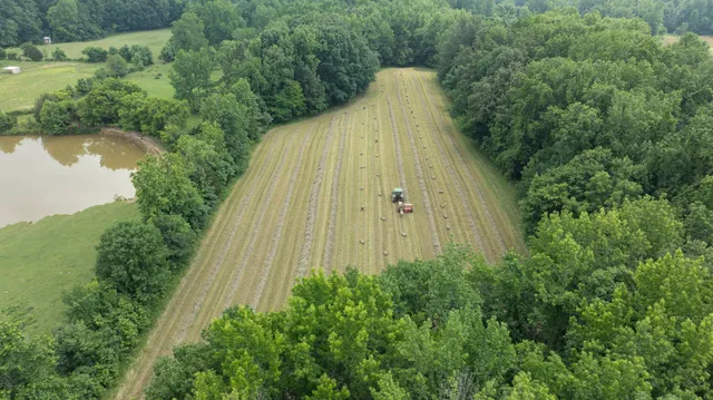 an aerial view of a residential houses with outdoor space and trees all around