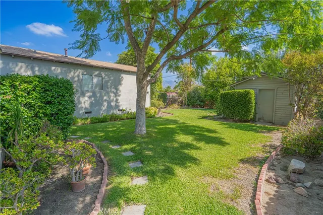 a view of a garden with a tree