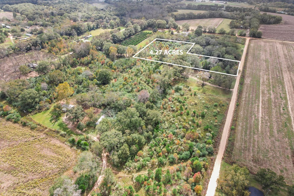 4.27-acres Cohen Road Slocomb, AL 36375 - Photo 3 of 3
