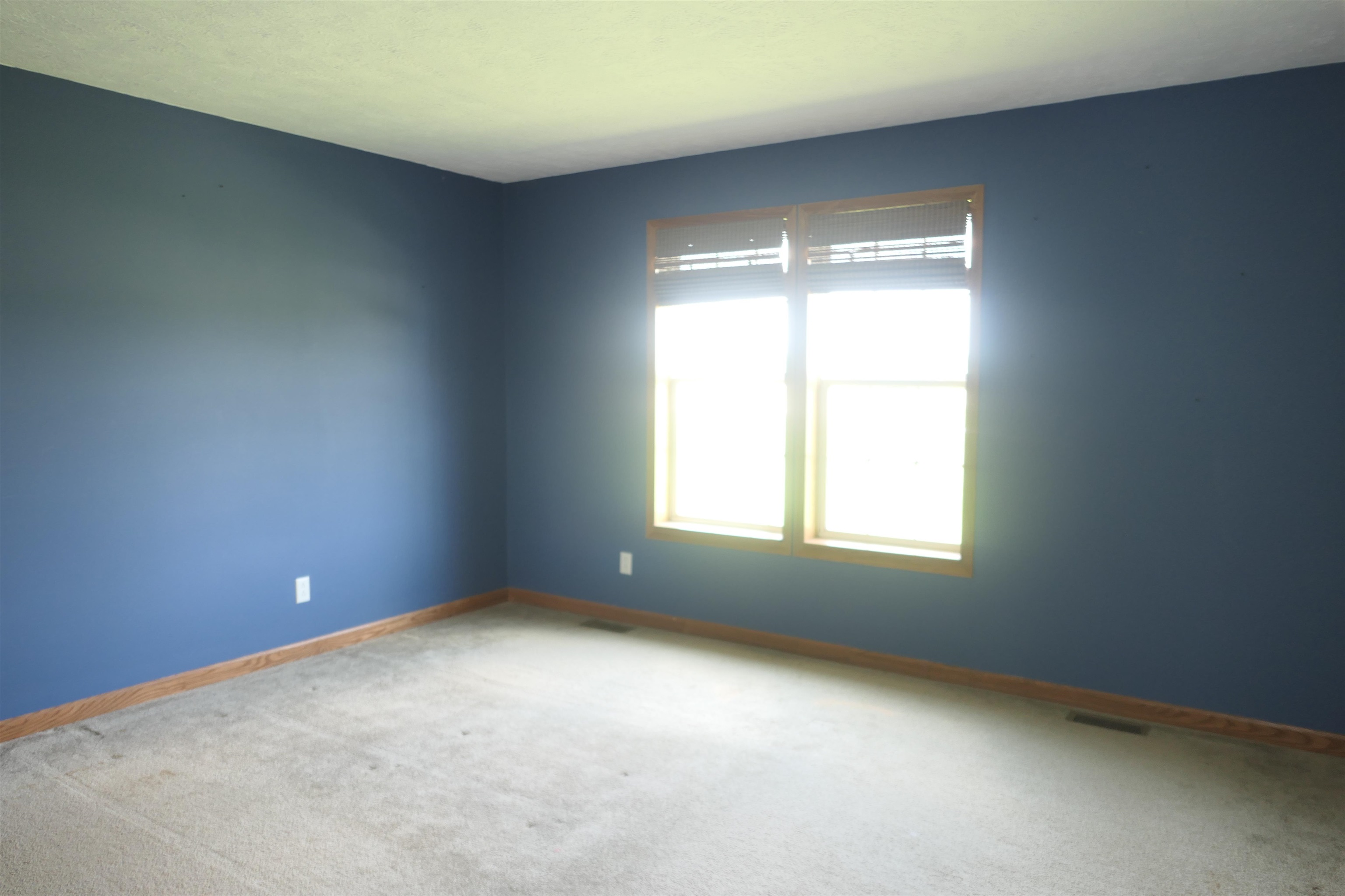 4657 Ball Road St. Louis, MI 48880 - Photo 23 of 41 1900473-22.JPG