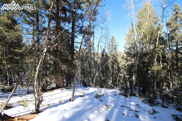 51 Mica Road Divide, CO 80814 - Photo 7 of 14