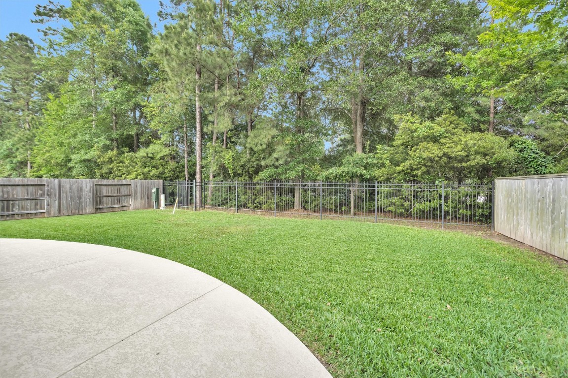 106 Cliftons Curve Way Montgomery, TX 77316 - Photo 45 of 47