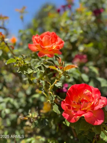 $1,200,000 | 2404 West Palmer Drive, Payson, AZ 85541