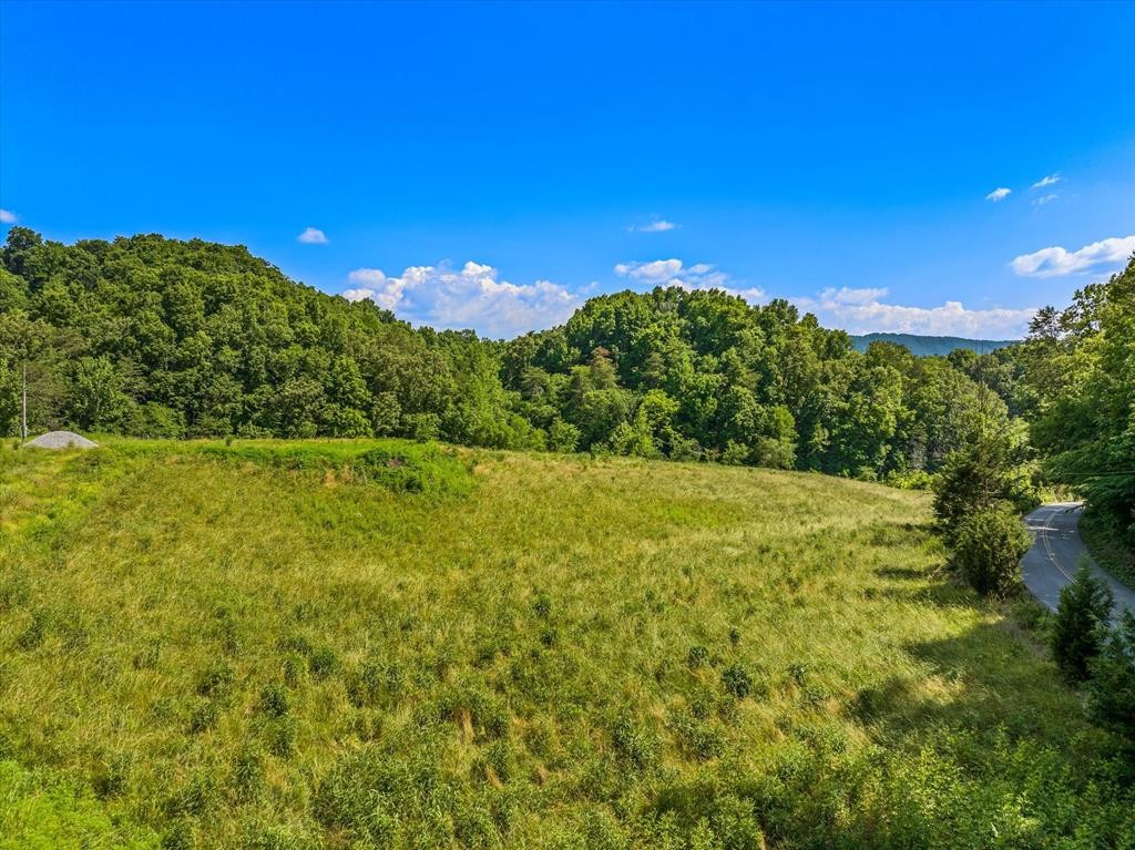 1065 Stanton Road Seymour, TN 37865 - Photo 57 of 61