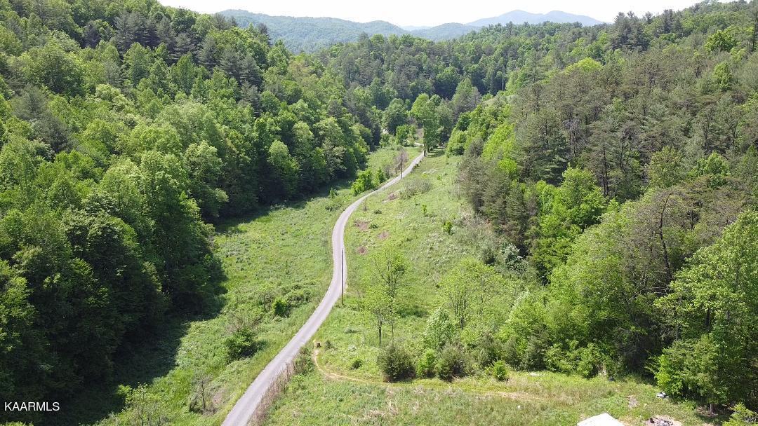 Bear Branch Del Rio, TN 37727 - Photo 2 of 10 BEAR BRANCH 1 - Copy