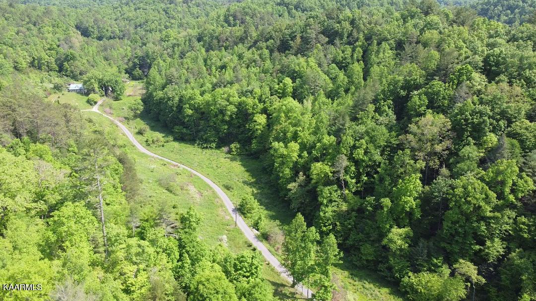 Bear Branch Del Rio, TN 37727 - Photo 3 of 10 BEAR BRANCH 4 - Copy