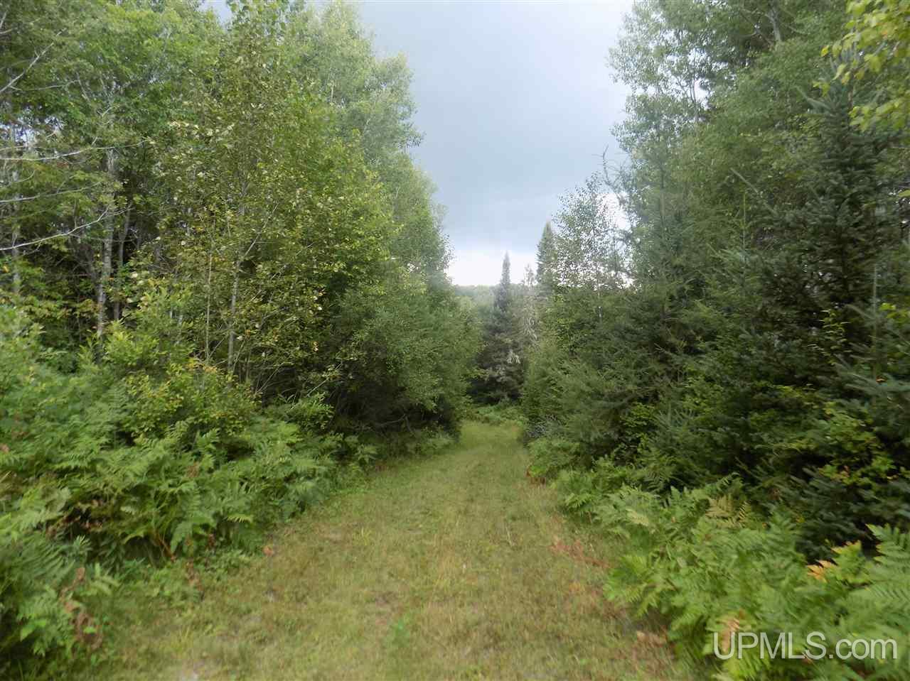 Tbd Mill Creek Road Republic, MI 49879 - Photo 4 of 11
