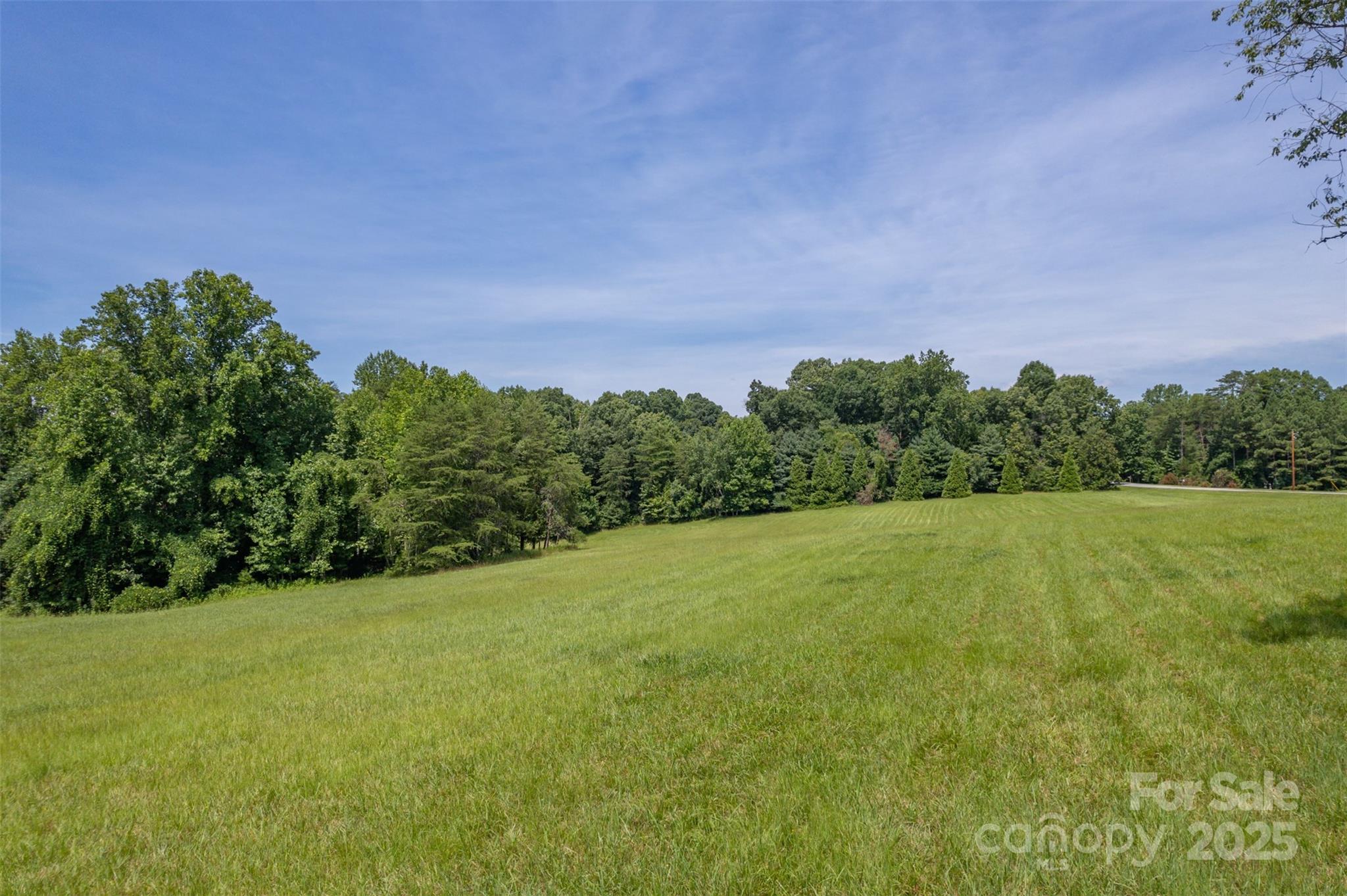 0 Jackson Grove Road Columbus, NC 28722 - Photo 1 of 28 a view of a field with clear tree