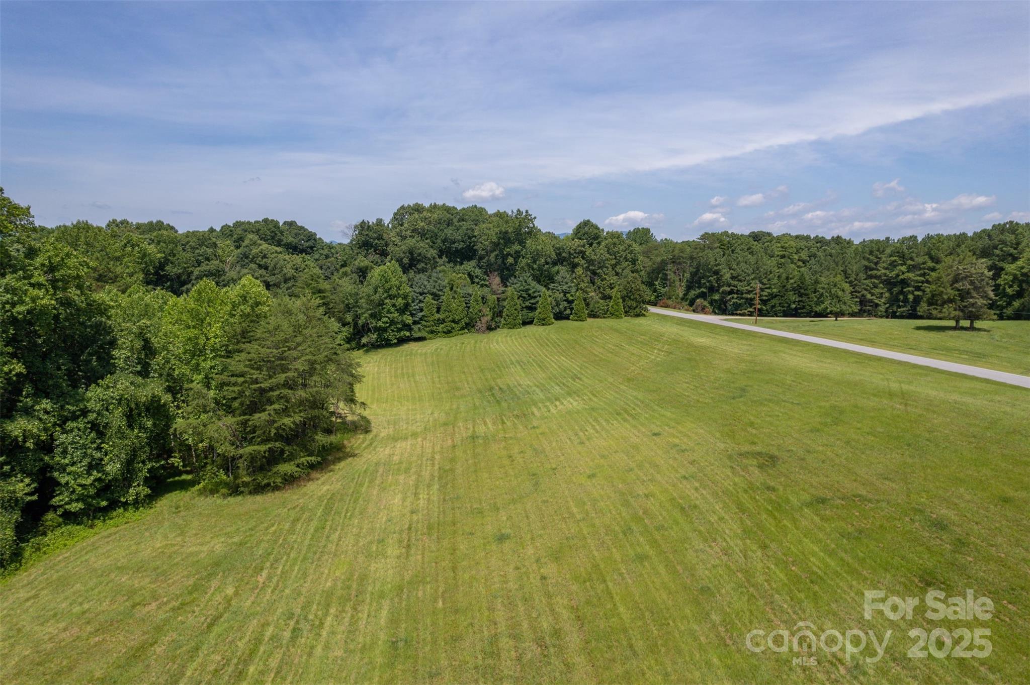 0 Jackson Grove Road Columbus, NC 28722 - Photo 11 of 28 a view of a big yard with lots of green space