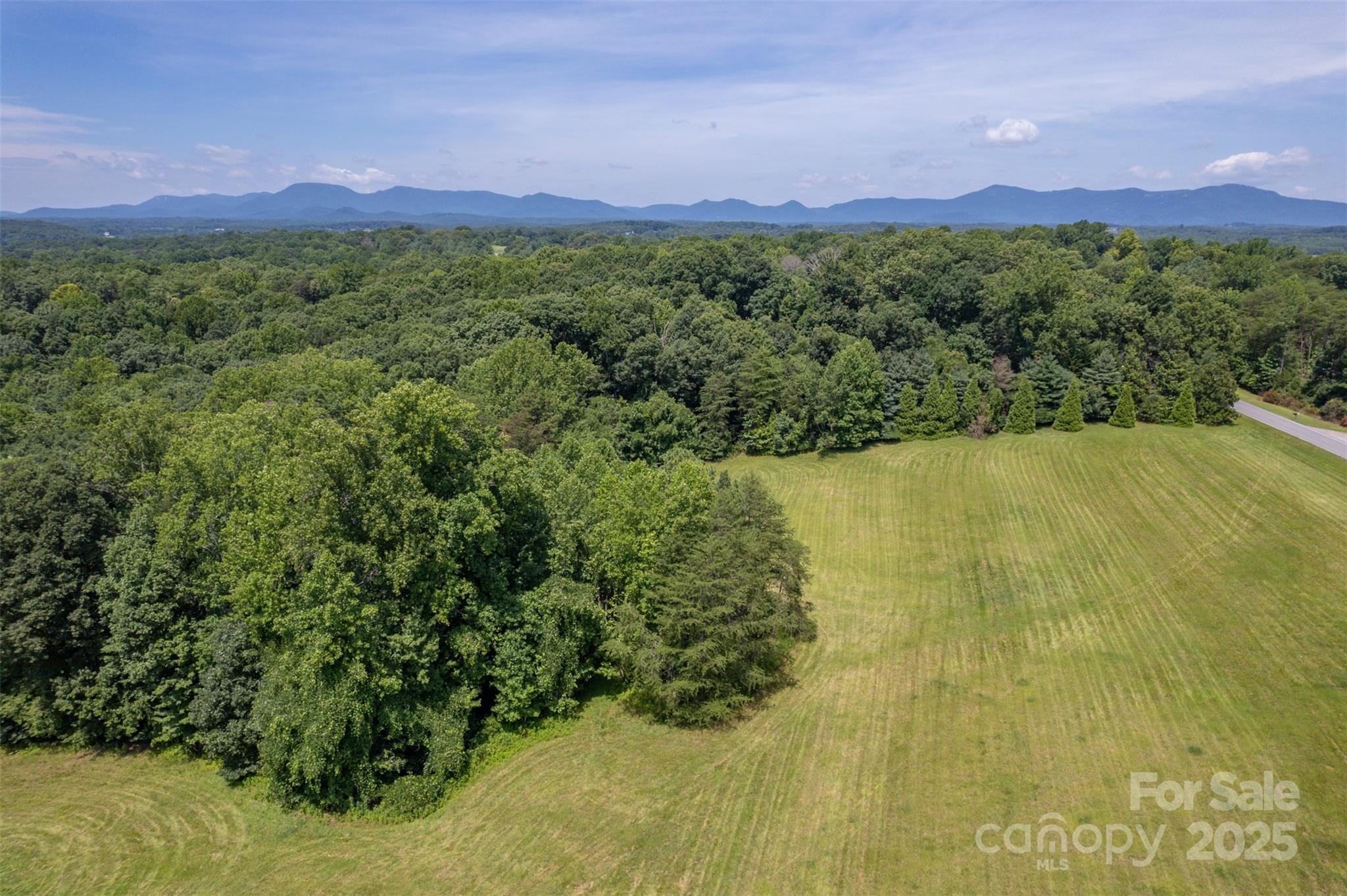 0 Jackson Grove Road Columbus, NC 28722 - Photo 12 of 28 a view of a lush green field