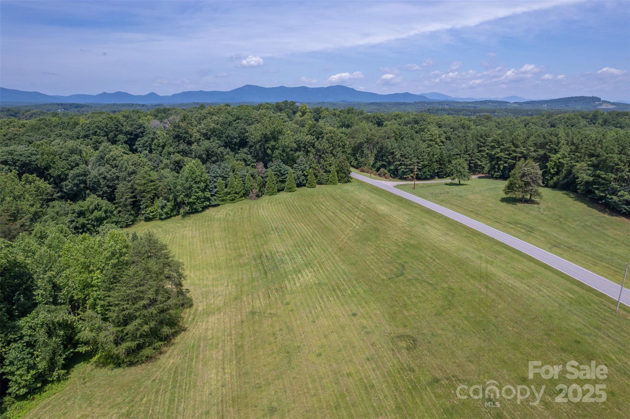 0 Jackson Grove Road Columbus, NC 28722 - Photo 13 of 28 a view of a field with a yard