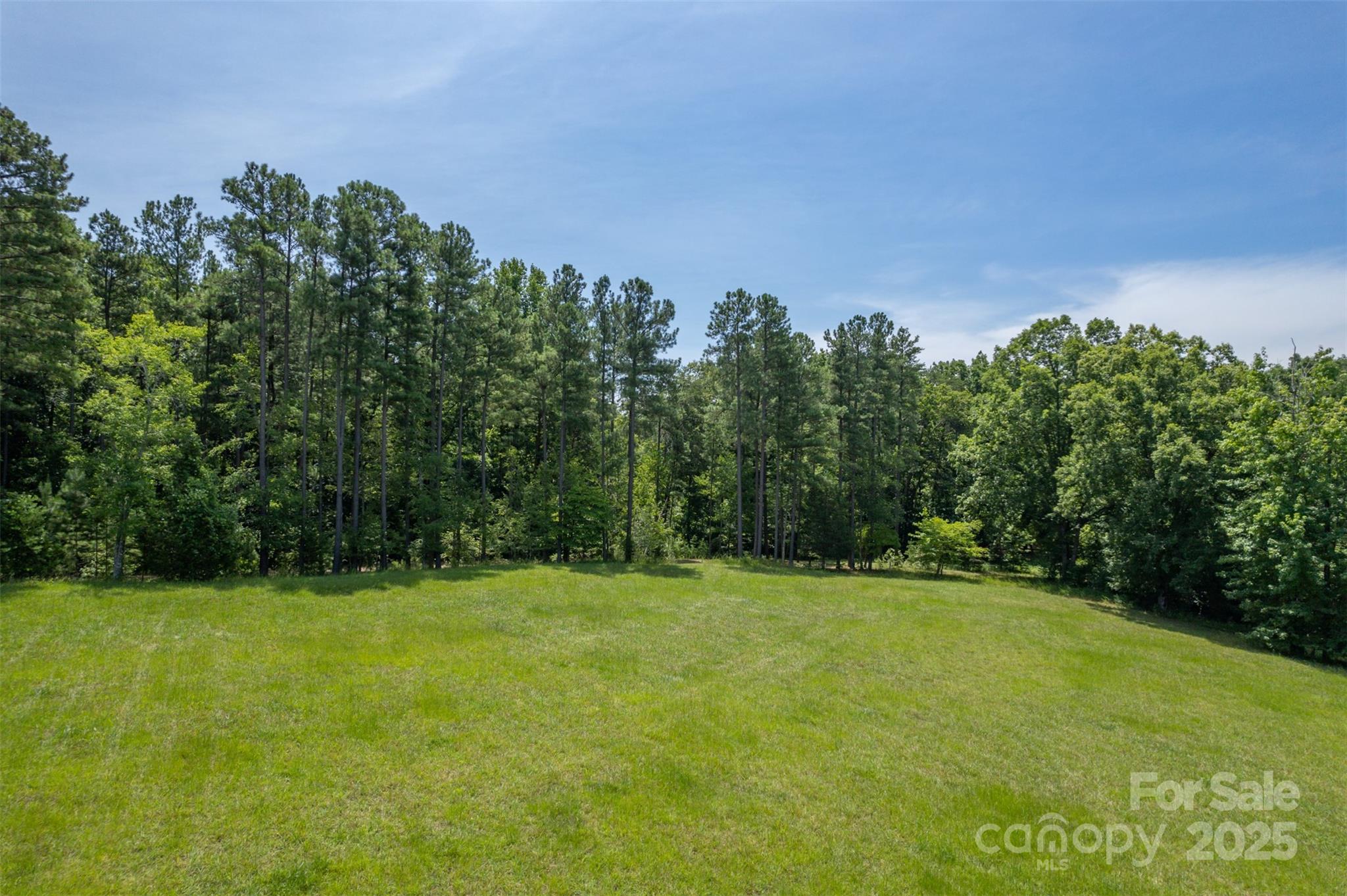 0 Jackson Grove Road Columbus, NC 28722 - Photo 14 of 28 a view of a green field with trees in the background
