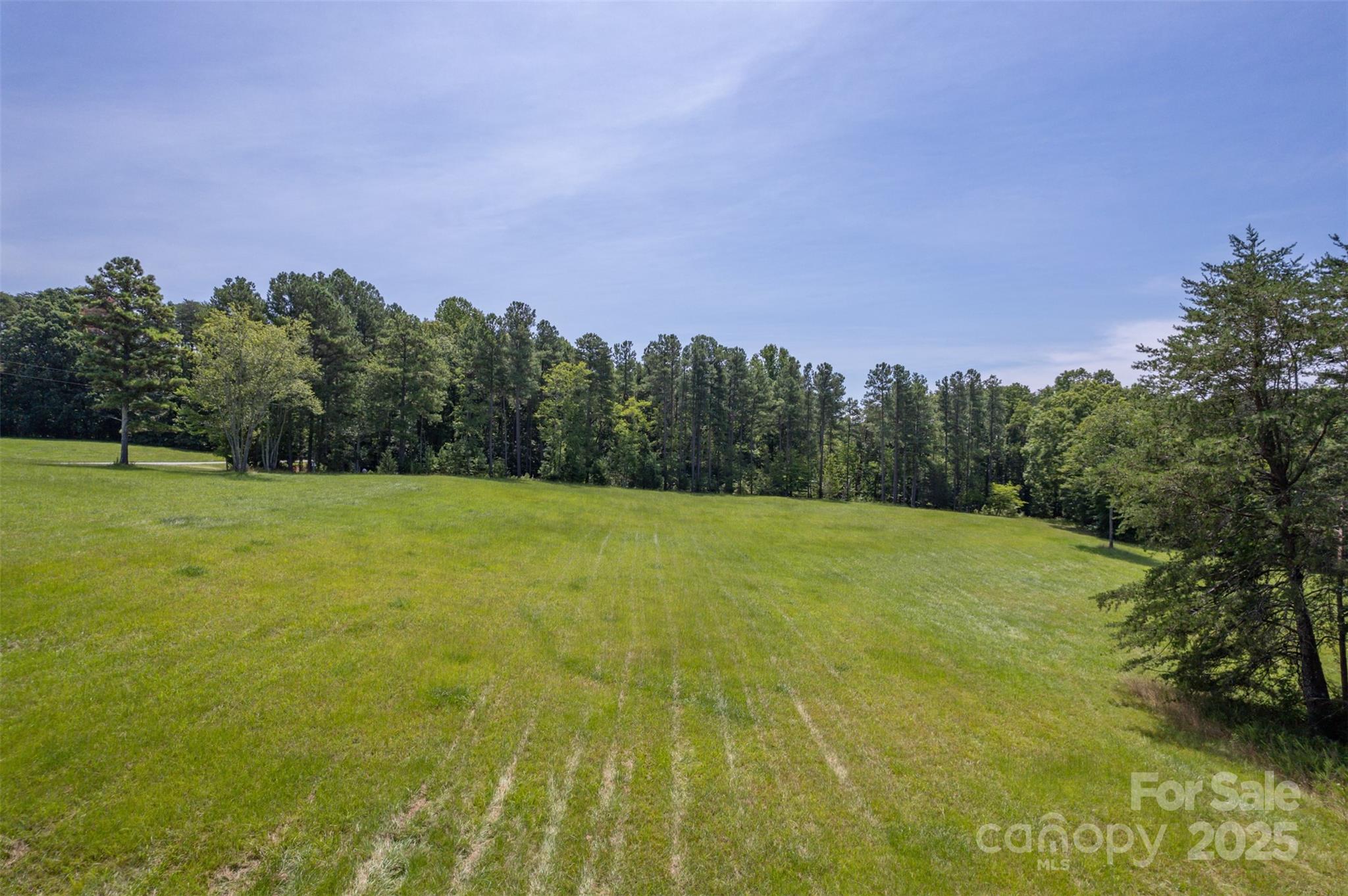 0 Jackson Grove Road Columbus, NC 28722 - Photo 15 of 28 a view of a field with trees in the background