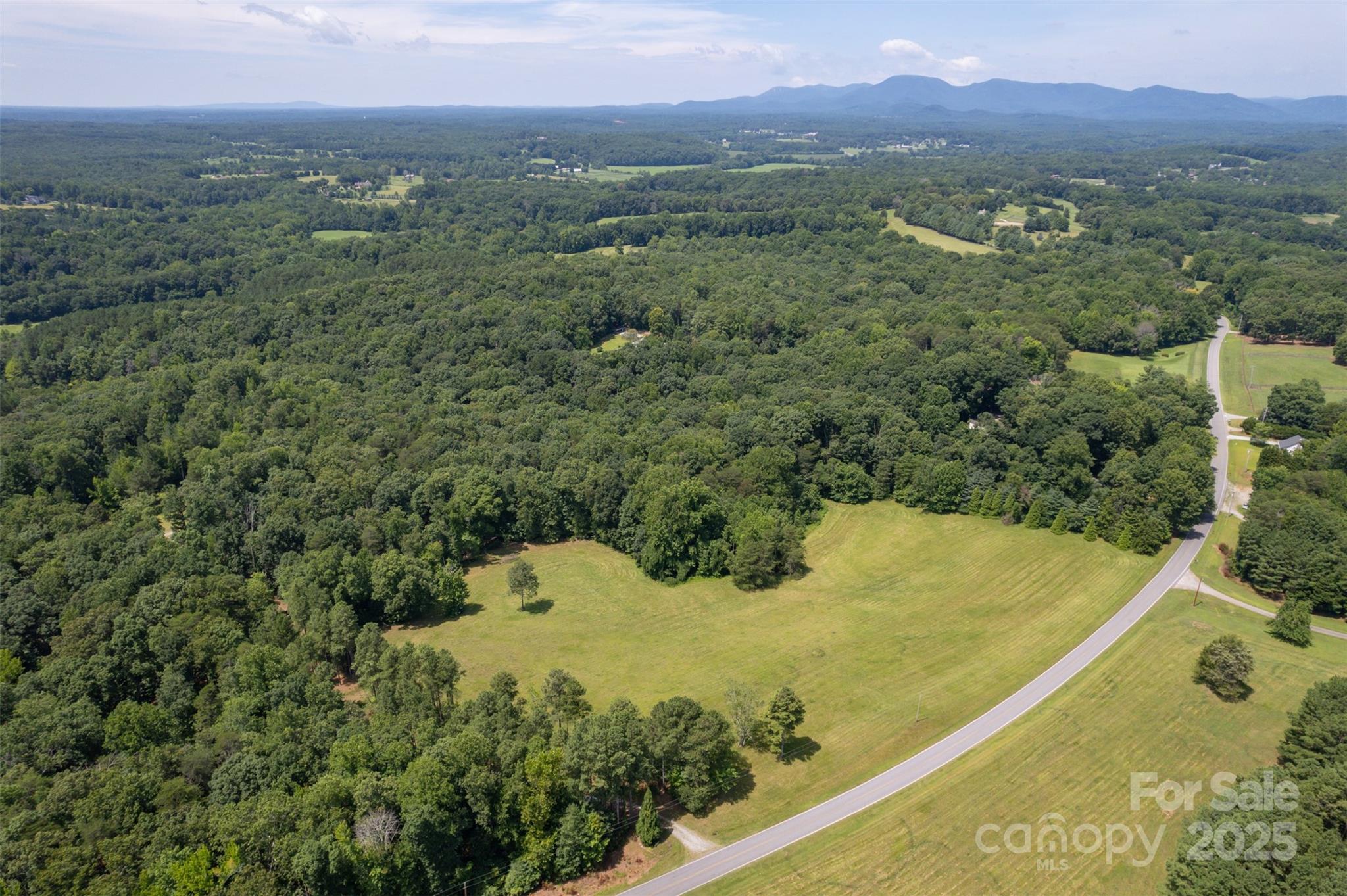 0 Jackson Grove Road Columbus, NC 28722 - Photo 25 of 28 a view of a mountain from a yard