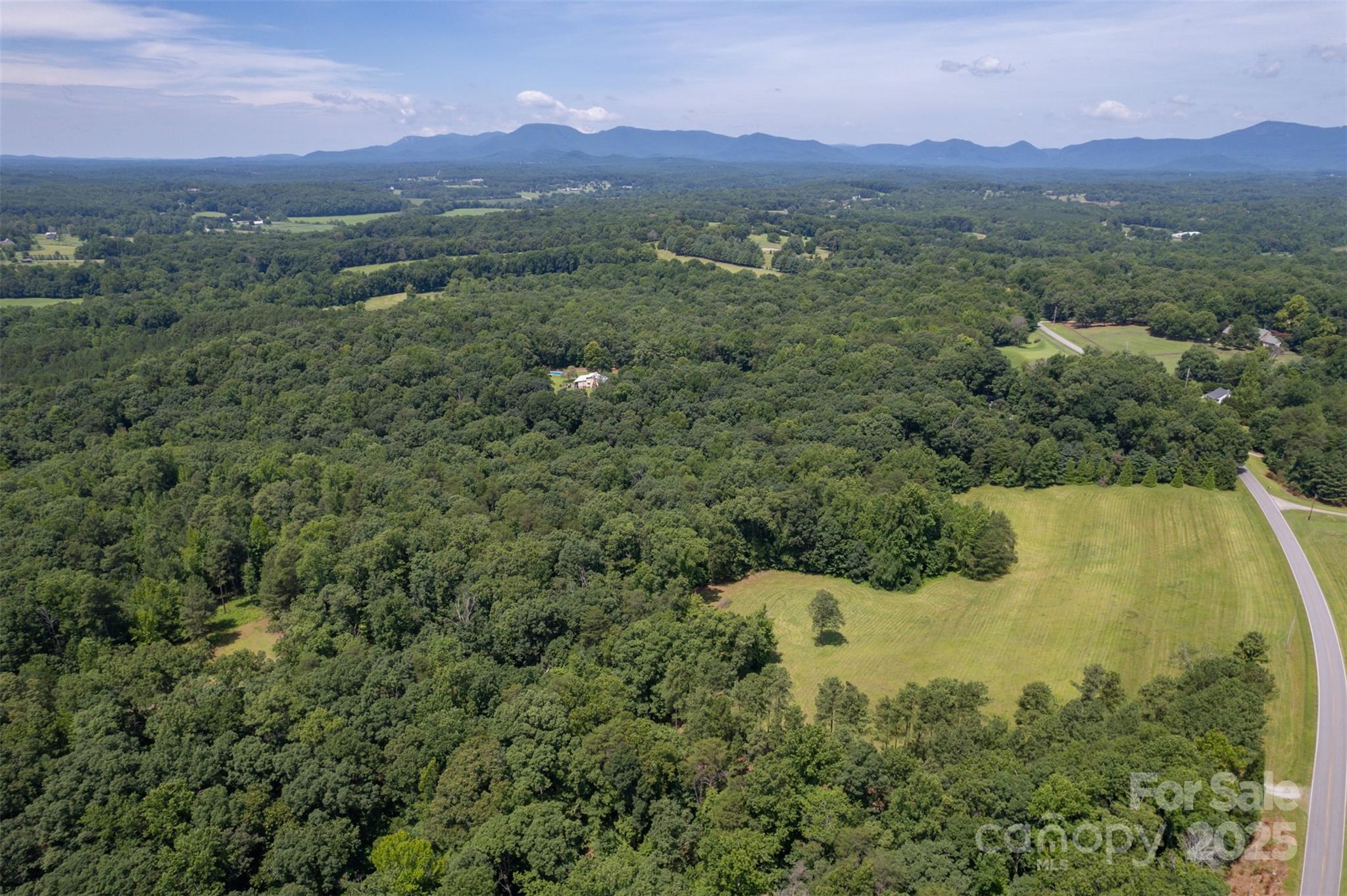 0 Jackson Grove Road Columbus, NC 28722 - Photo 26 of 28 an aerial view of a houses with a yard and mountain view
