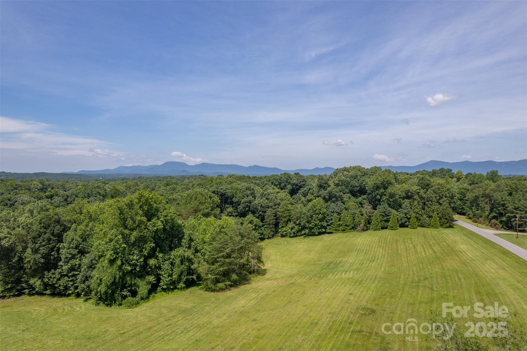 0 Jackson Grove Road Columbus, NC 28722 - Photo 28 of 28 a view of a garden