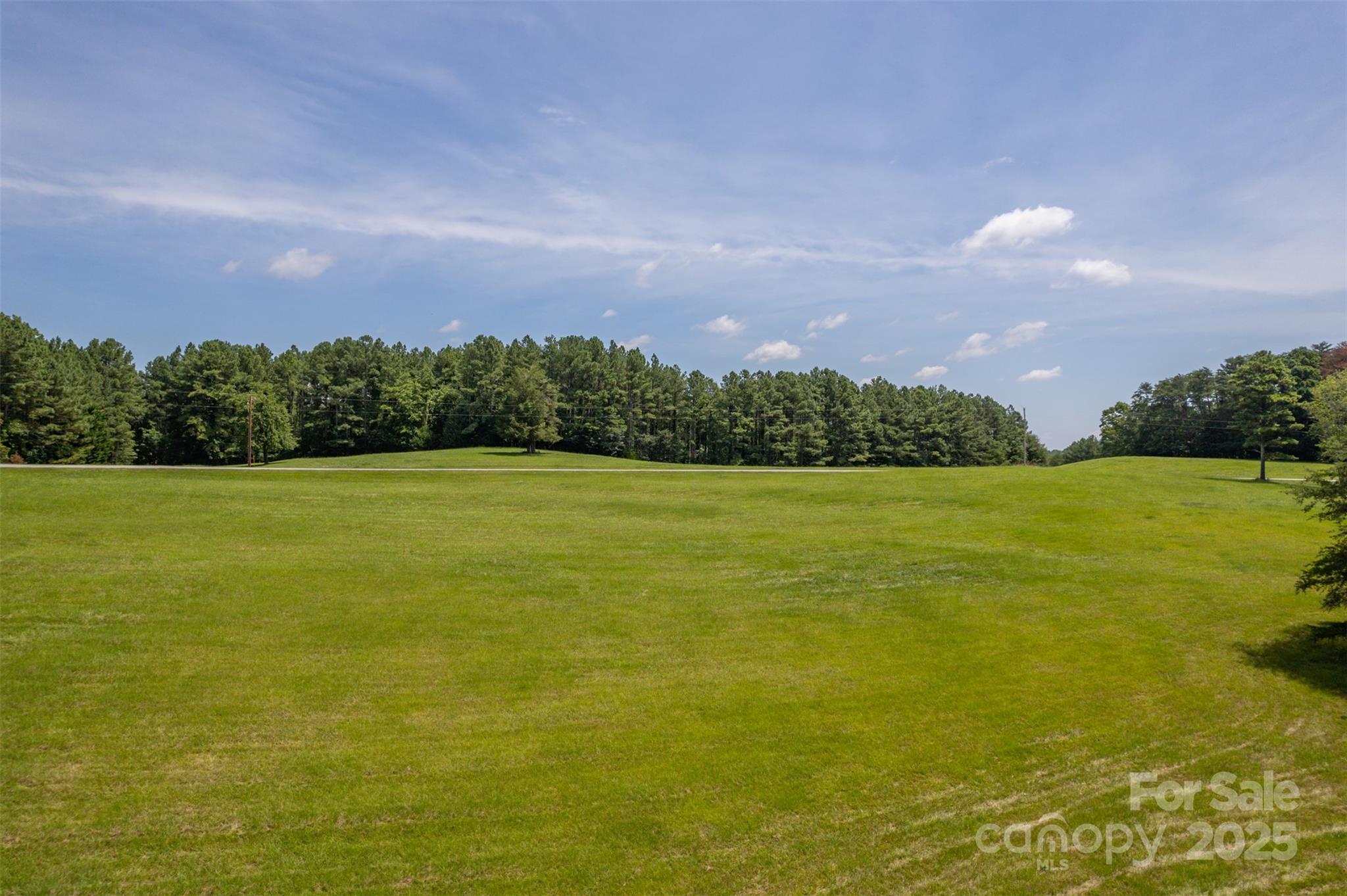 0 Jackson Grove Road Columbus, NC 28722 - Photo 3 of 28