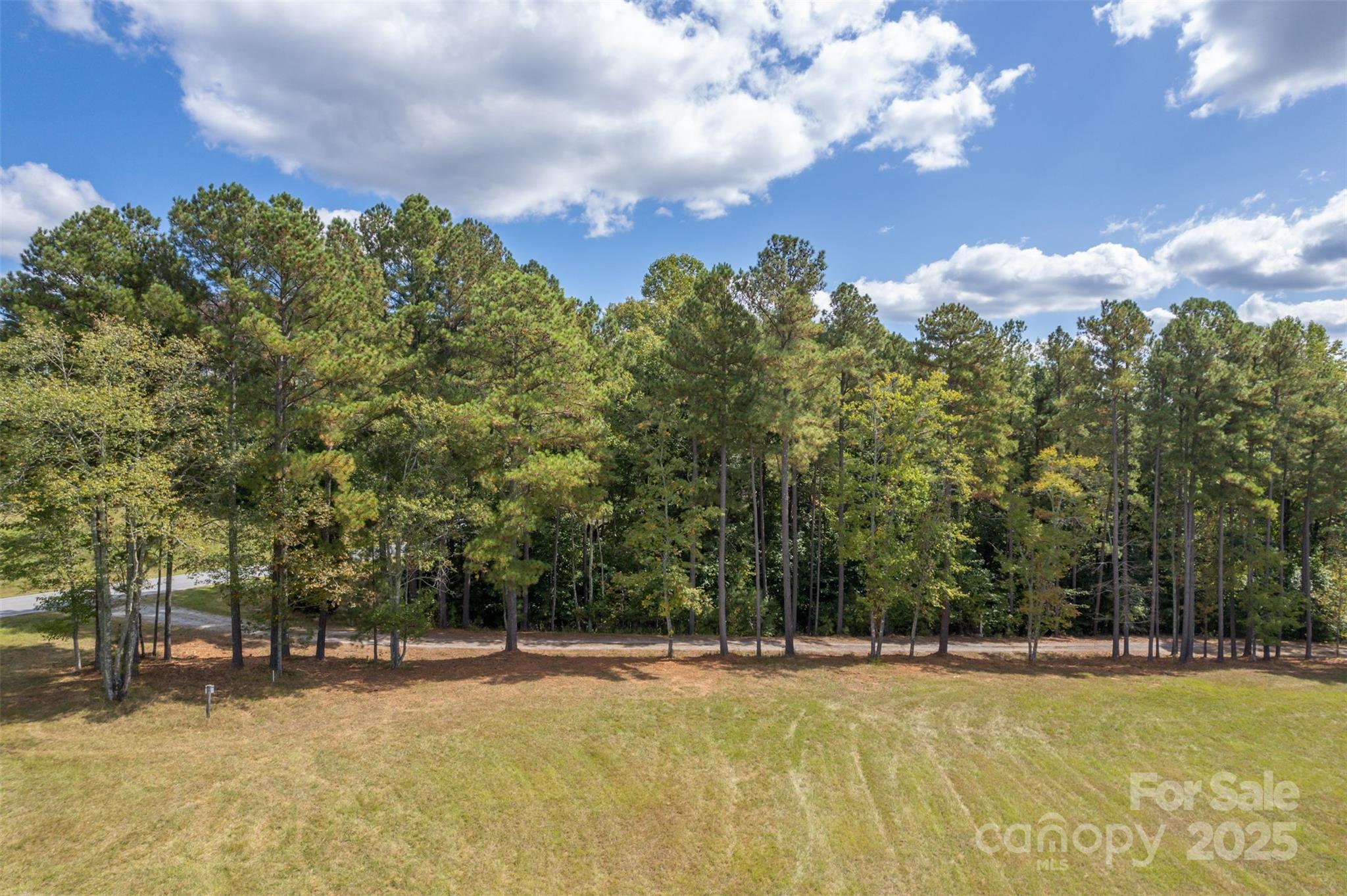 0 Jackson Grove Road Columbus, NC 28722 - Photo 5 of 28 a view of a swimming pool and trees in the background