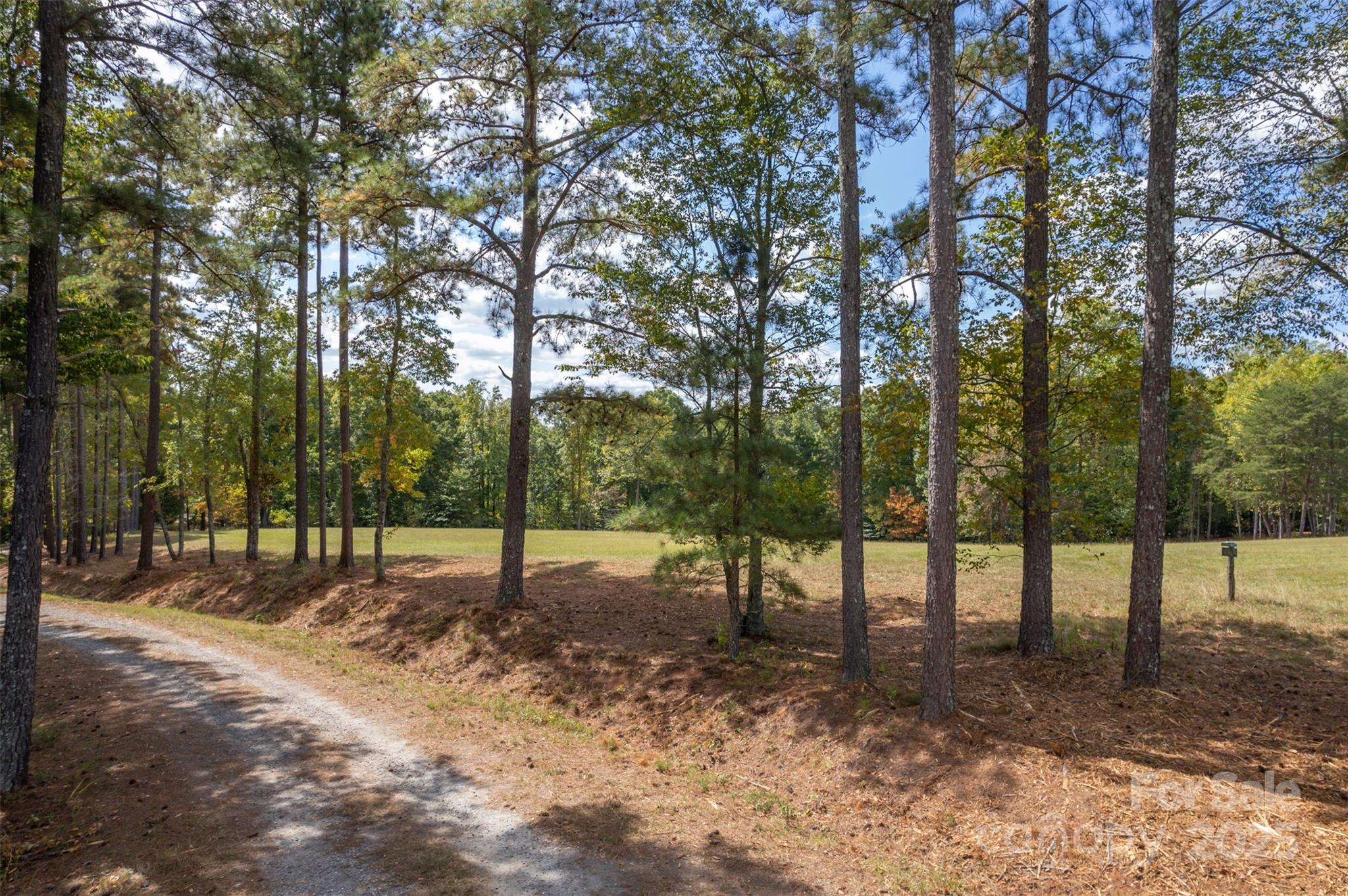 0 Jackson Grove Road Columbus, NC 28722 - Photo 6 of 28 a view of outdoor space with deck