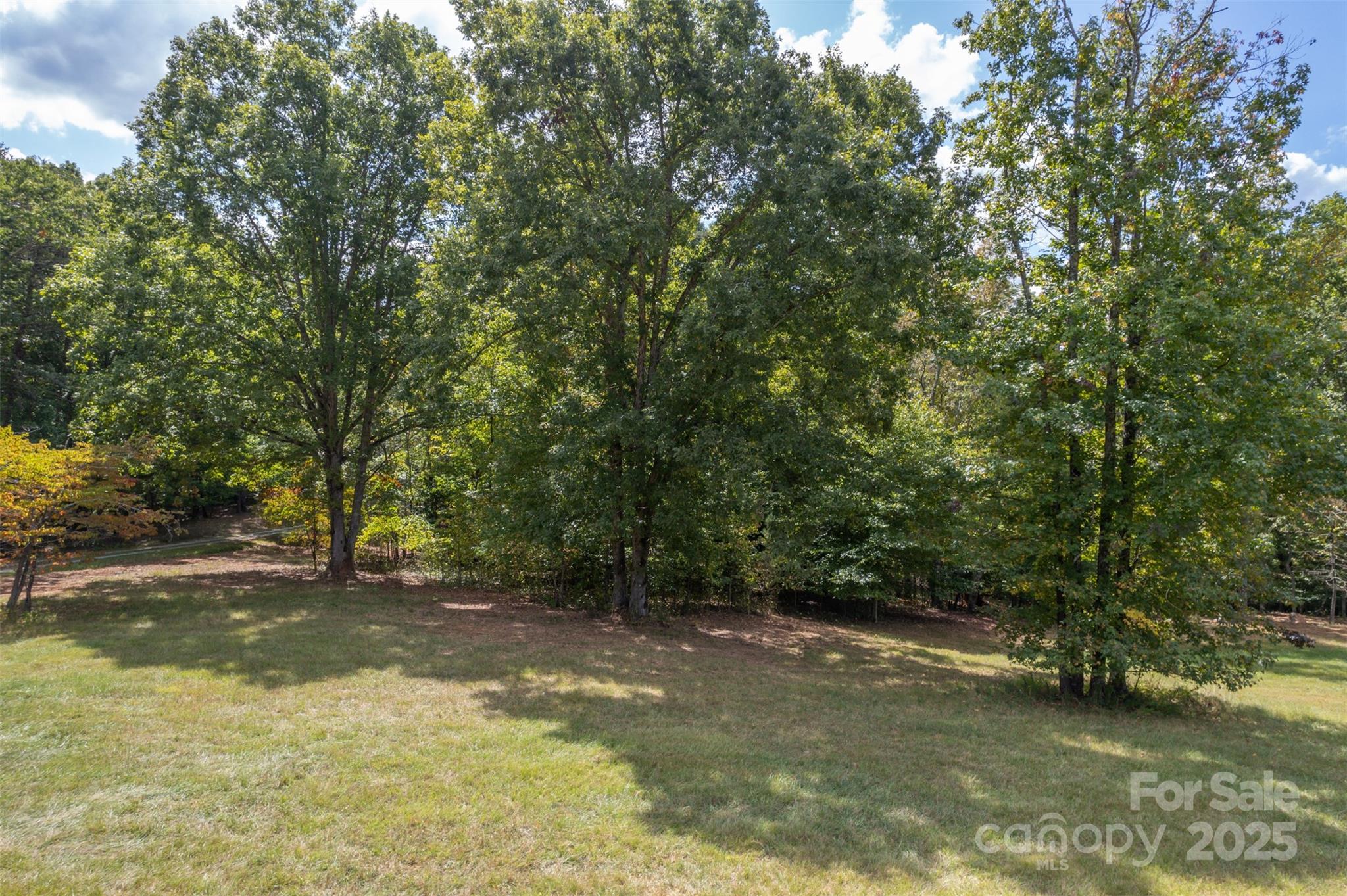 0 Jackson Grove Road Columbus, NC 28722 - Photo 7 of 28 a view of a lake with trees