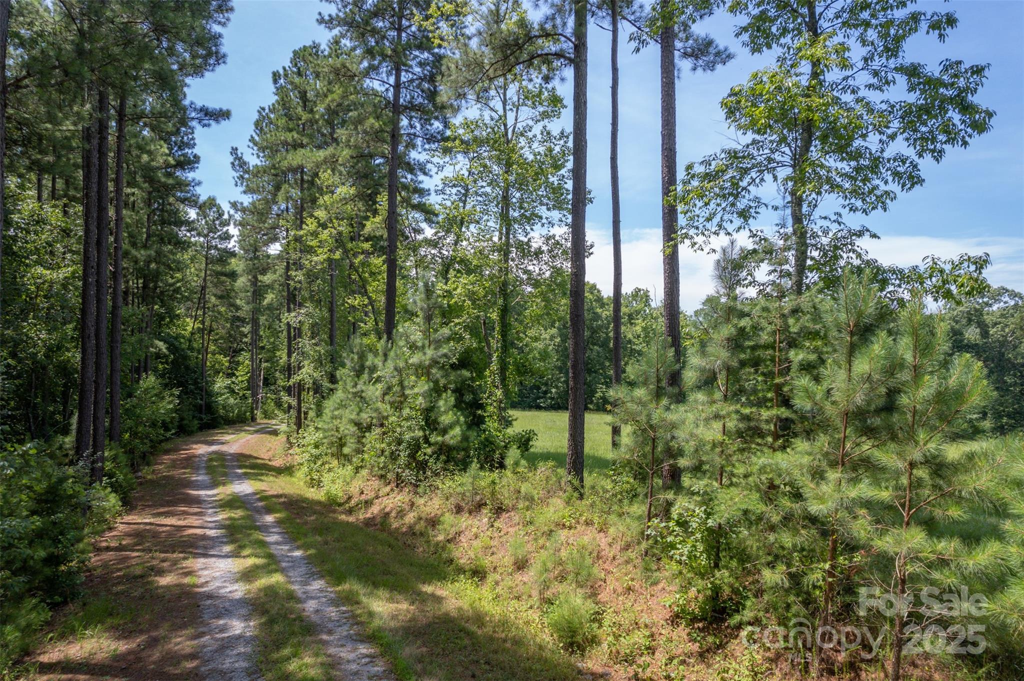0 Jackson Grove Road Columbus, NC 28722 - Photo 10 of 28 a view of outdoor space and trees all around